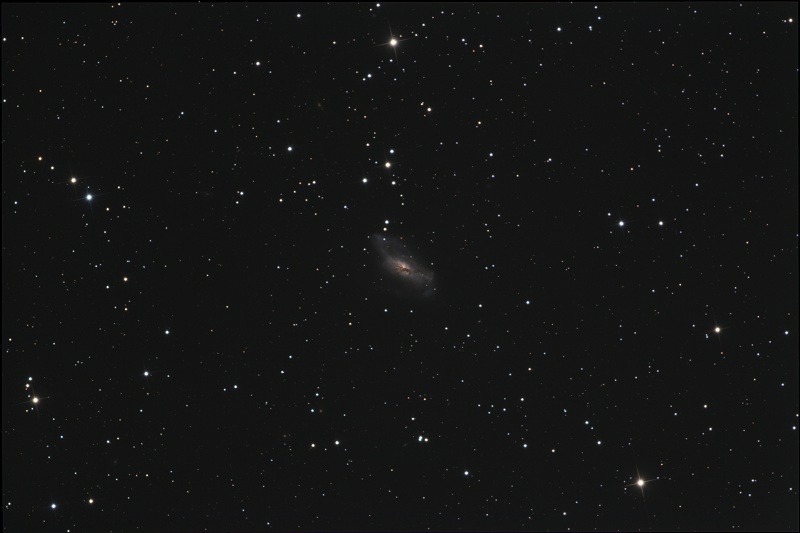 NGC2146-CDK12-1240min-LRGB-2018-03-24-800x533