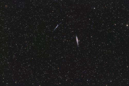NGC4631-750min-LZOS-FL-2013-04-14_cr-500x333